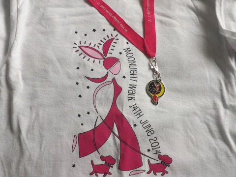 Moonlight Walk 2014