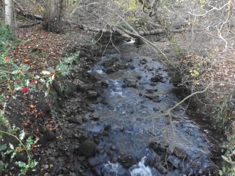 Crook of Lune November 3