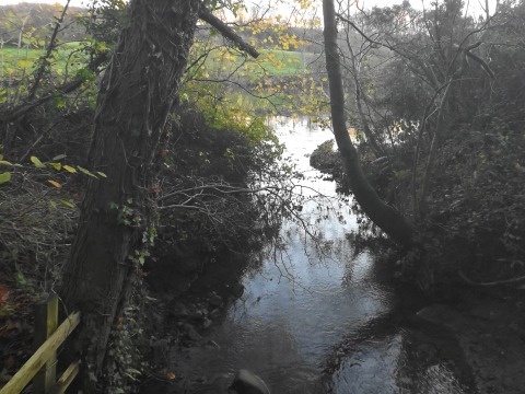 Crook of Lune November 5