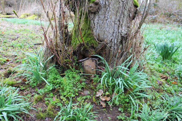 Fairy House Acorn Bank 1