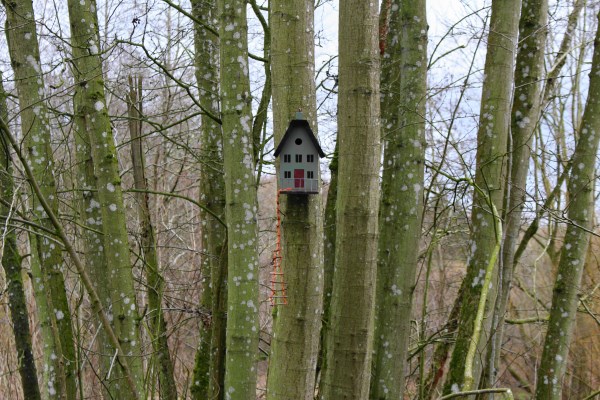 Fairy House Acorn Bank 3