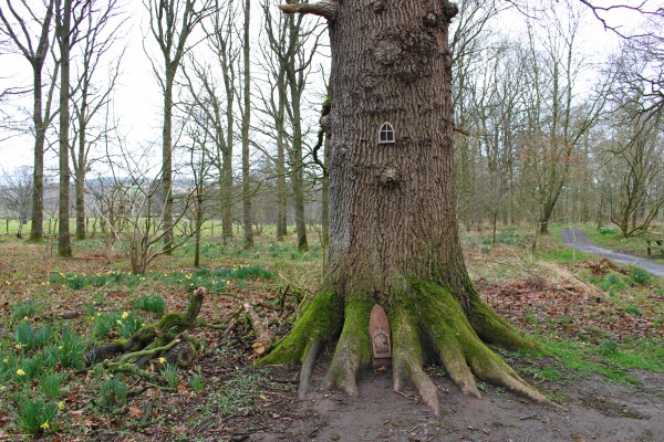 Fairy House Acorn Bank 4