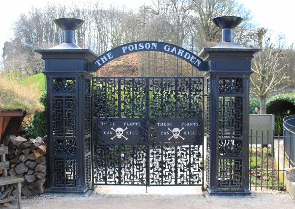 Northumberland Days Out 6