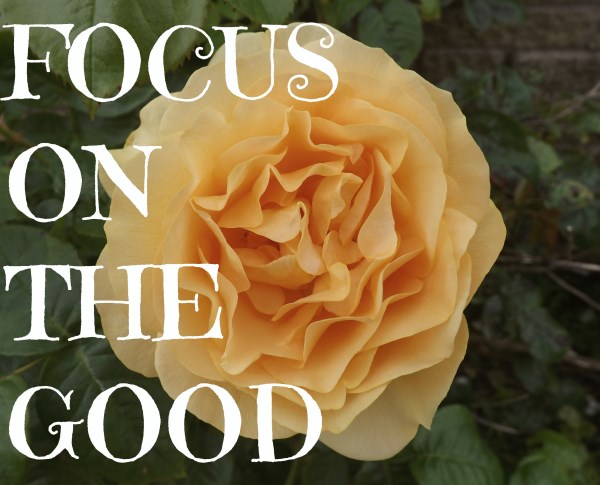 Focus On The Good
