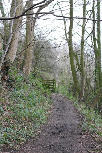 Crook Of Lune 1 Jan 2016
