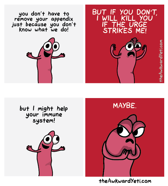 Awkward Yeti Appendix